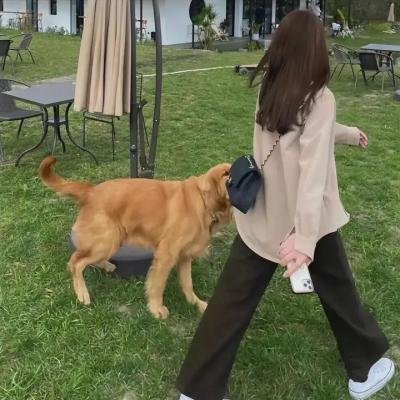 中国之旅